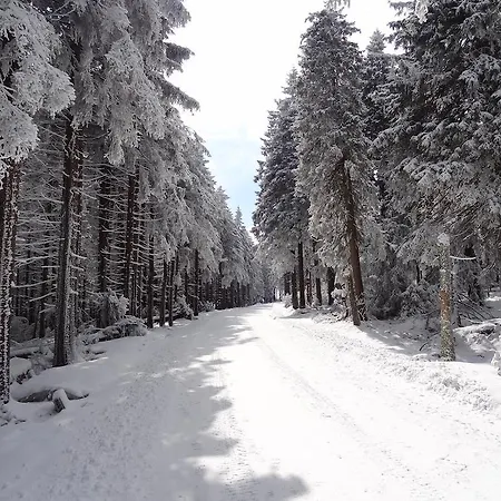 Fewo Harz Somnia Apartment Braunlage