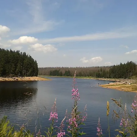 Fewo Harz Somnia *