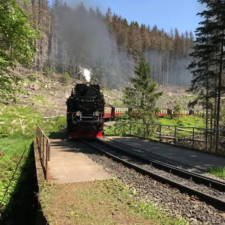 Fewo Harz Somnia